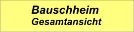 Bauschheim Gesamtansicht