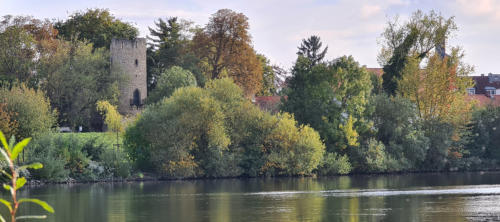 Parkruine und rechts die Stadtkirche